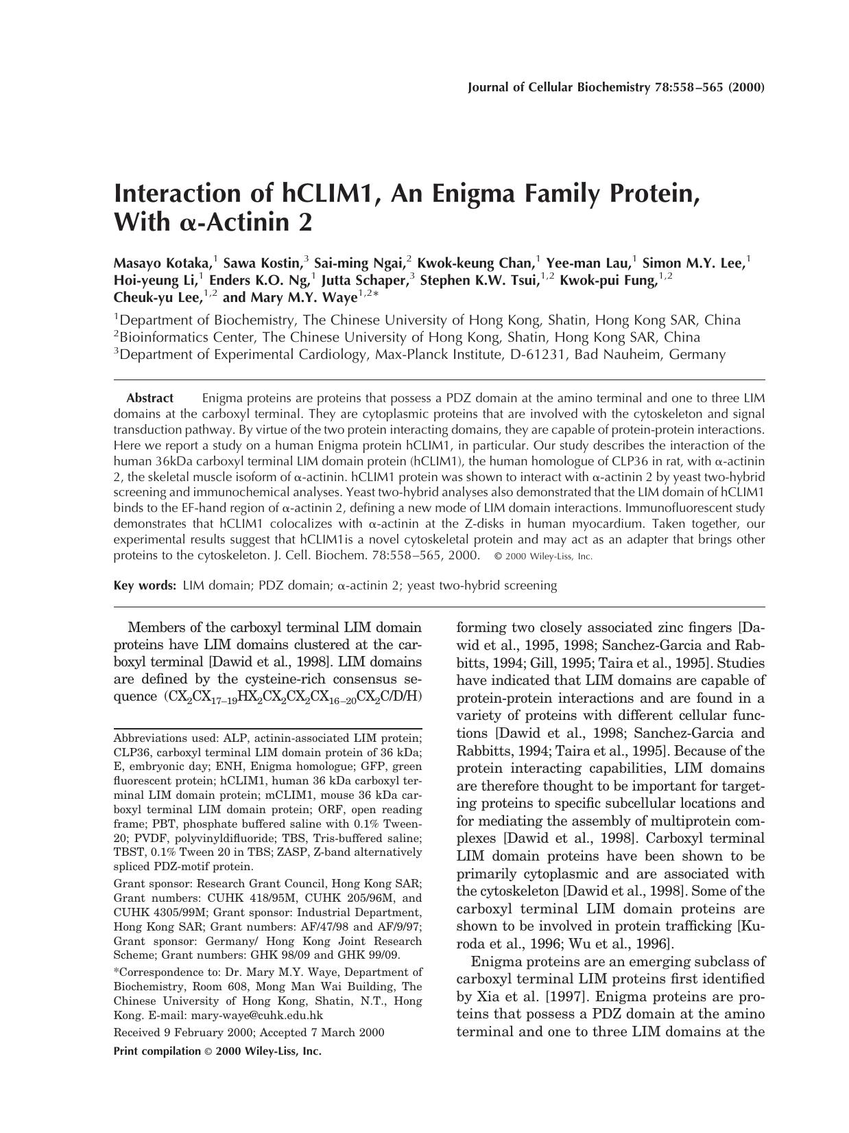 Interaction of hCLIM1, an enigma family protein, with [alpha]-actinin 2 by Unknown