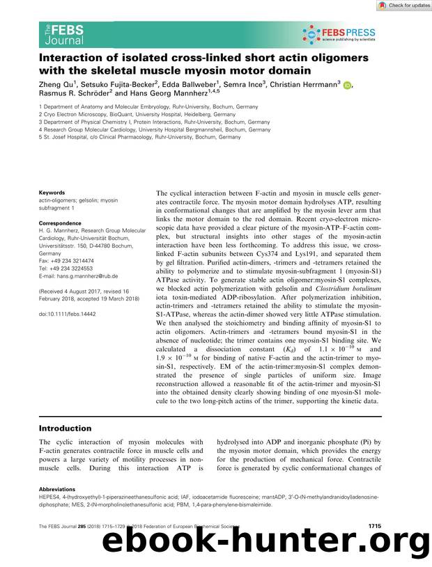 Interaction of isolated crossâlinked short actin oligomers with the skeletal muscle myosin motor domain by Unknown