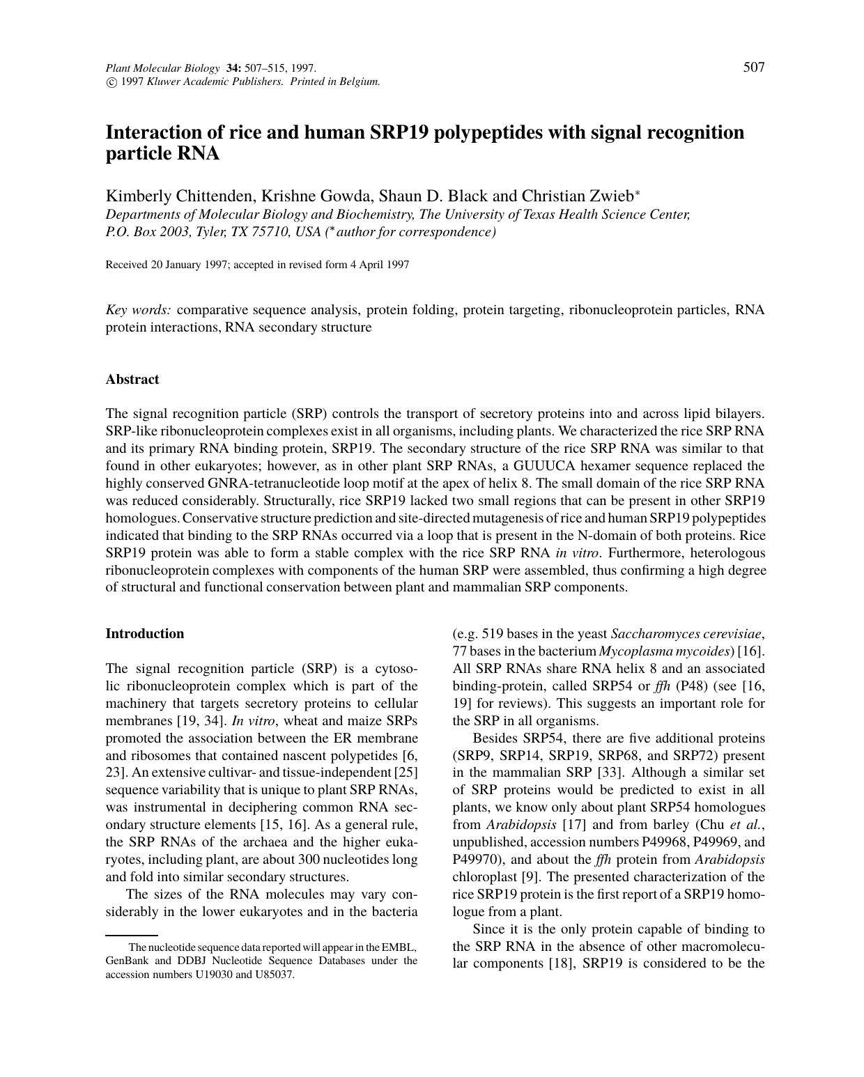 Interaction of rice and human SRP19 polypeptides with signal recognition particle RNA by Unknown