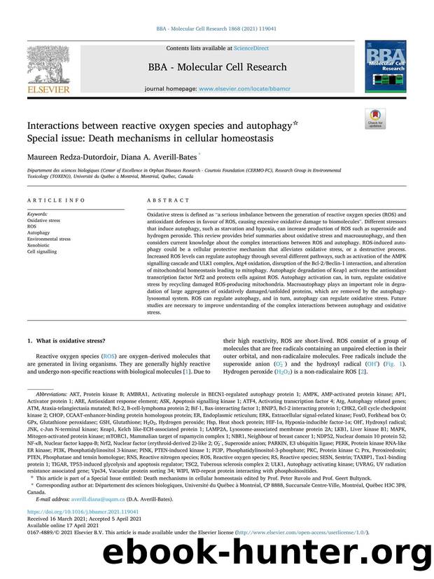 Interactions between reactive oxygen species and autophagy : Special issue: Death mechanisms in cellular homeostasis by Maureen Redza-Dutordoir & Diana A. Averill-Bates