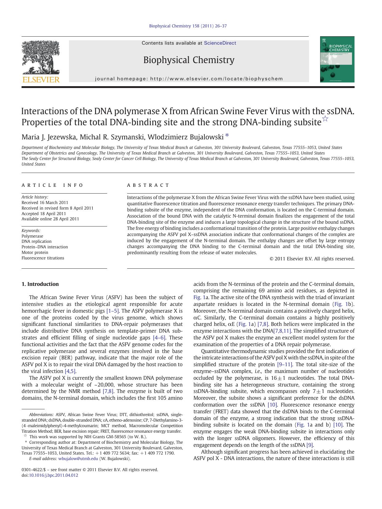 Interactions of the DNA polymerase X from African Swine Fever Virus with the ssDNA. Properties of the total DNA-binding site and the strong DNA-binding subsite by Maria J. Jezewska & Michal R. Szymanski & Wlodzimierz Bujalowski
