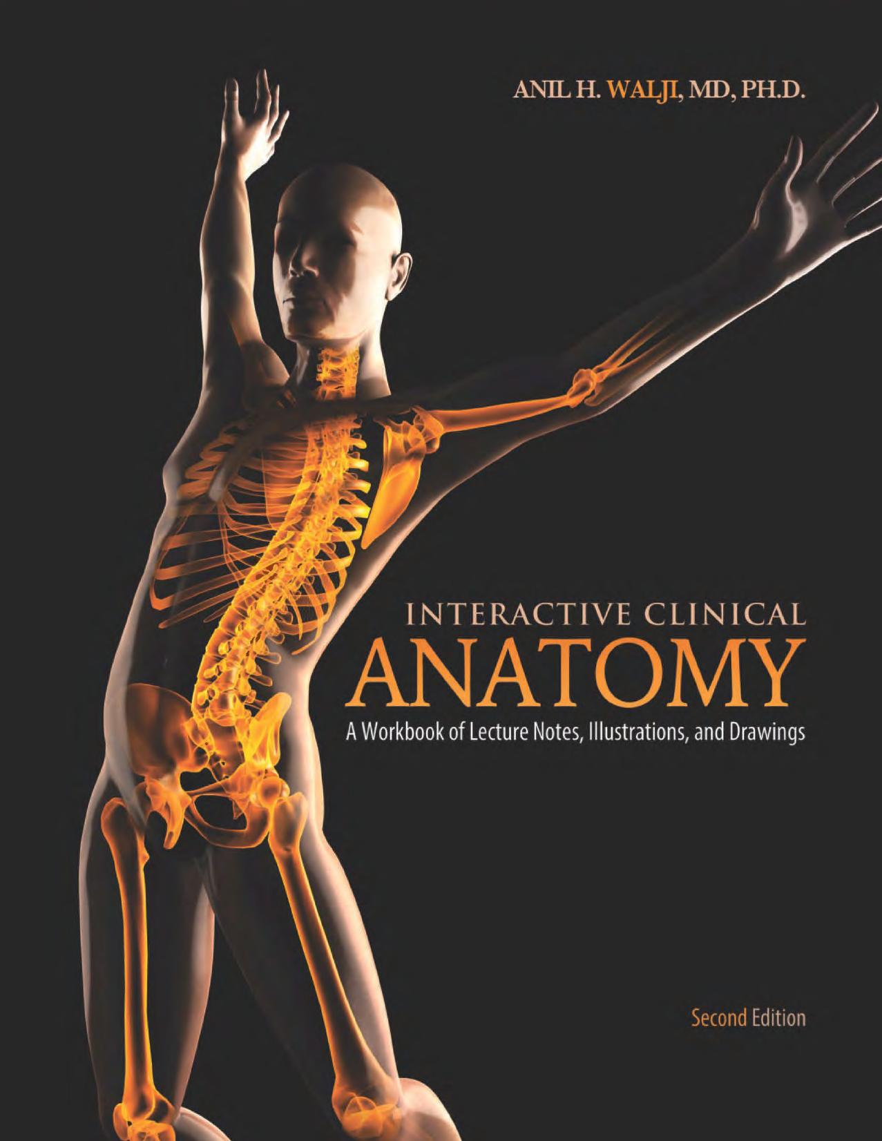 Interactive Clinical Anatomy: A Workbook of Lecture Notes Illustrations and Drawings by Anil Walji