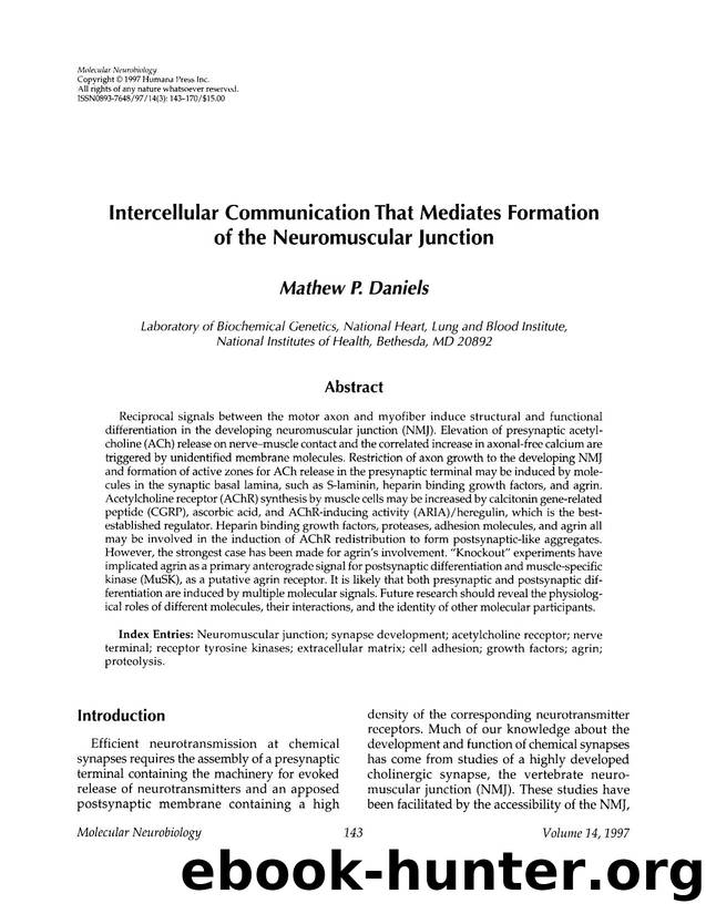 Intercellular communication that mediates formation of the neuromuscular junction by Unknown