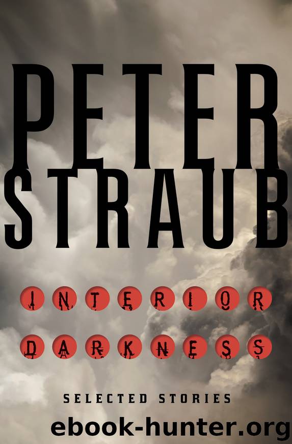 Interior Darkness by Peter Straub