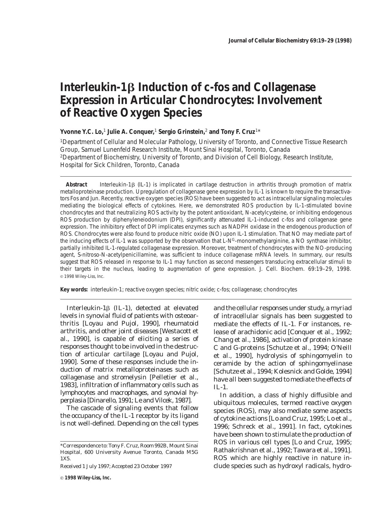 Interleukin-1[bgr] induction of c-fos and collagenase expression in articular chondrocytes: Involvement of reactive oxygen species by Unknown