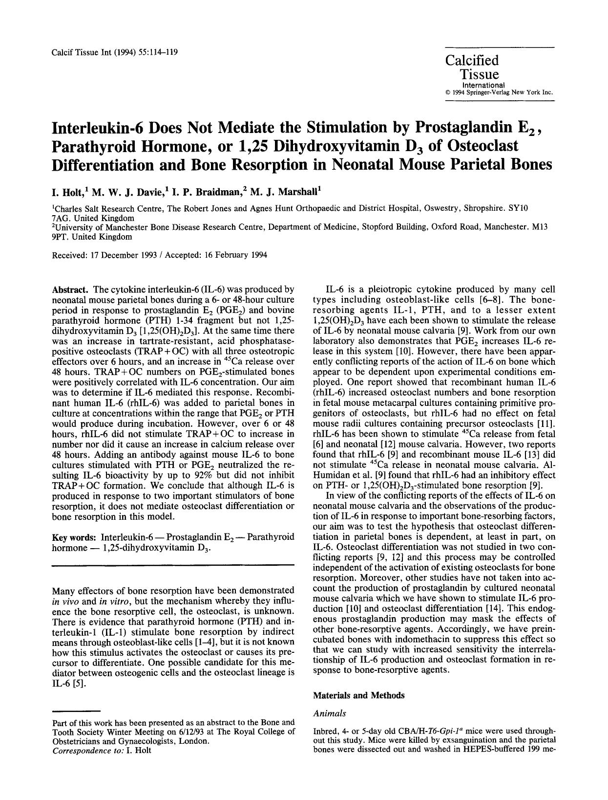 Interleukin-6 does not mediate the stimulation by prostaglandin E<Subscript>2<Subscript>, parathyroid hormone, or 1,25 dihydroxyvitamin D<Subscript>3<Subscript> of osteoclast diffe by Unknown