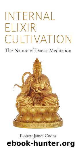 Internal Elixir Cultivation: The Nature of Daoist Meditation by Robert Coons