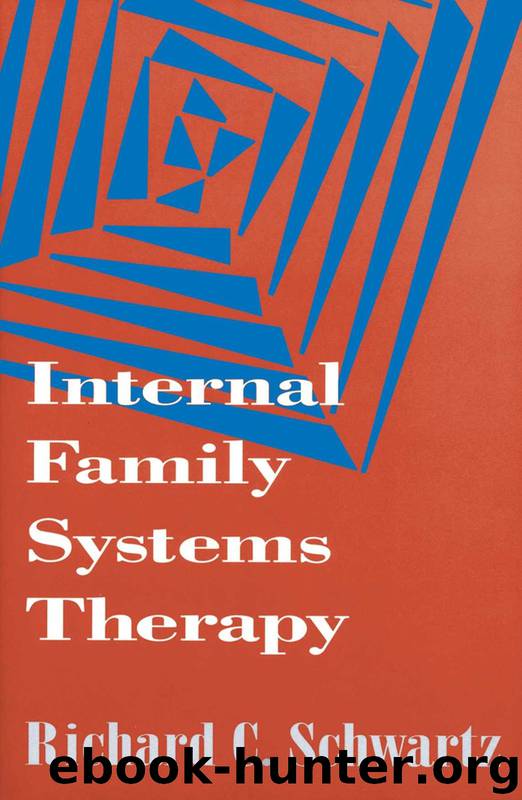 Internal Family Systems Therapy (The Guilford Family Therapy Series) by Richard C. Schwartz