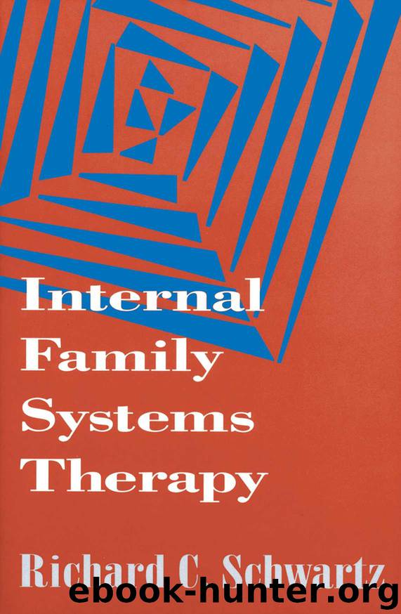 Internal Family Systems Therapy (The Guilford Family Therapy Series) by Schwartz Richard C