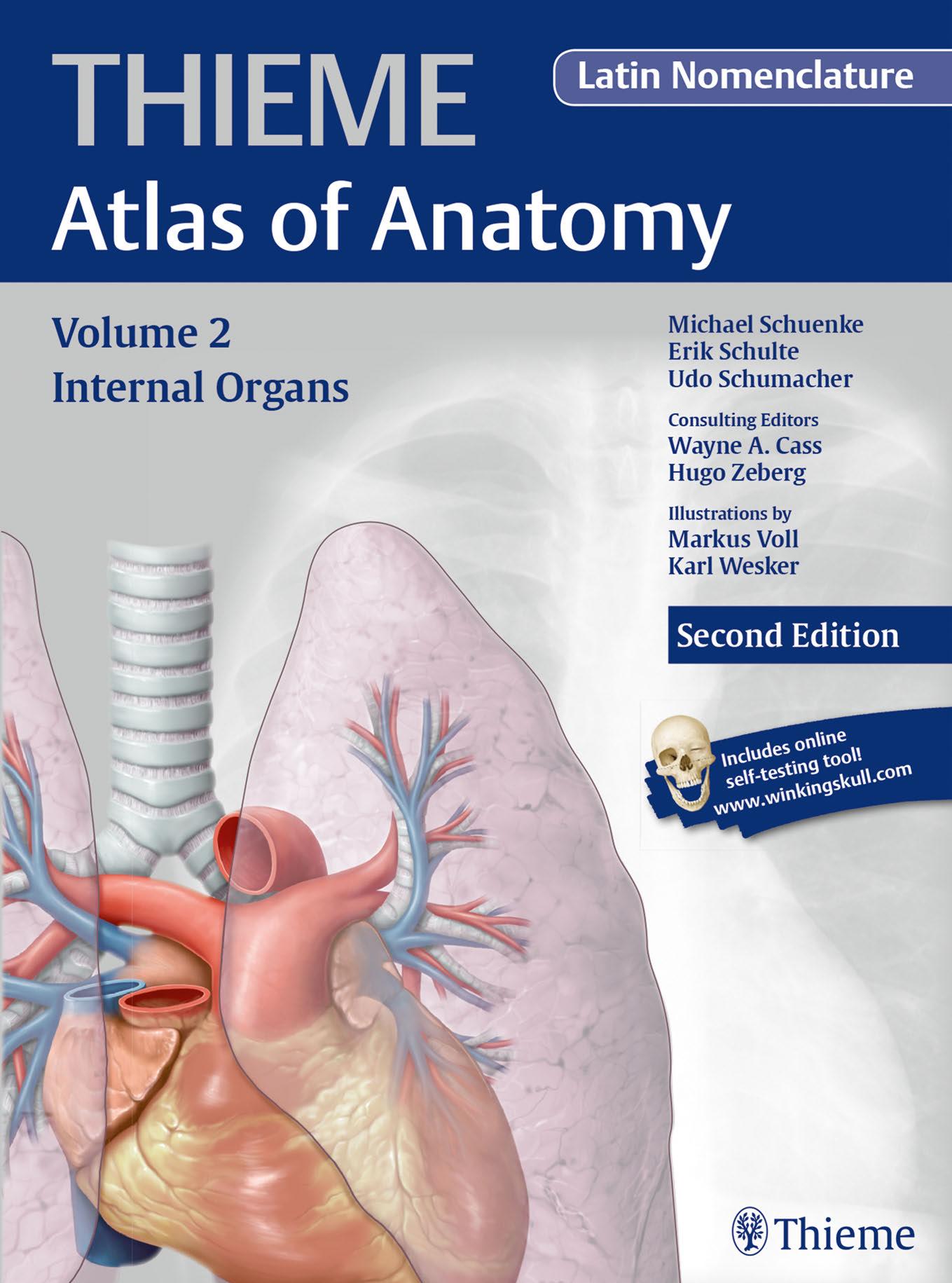 Internal Organs (THIEME Atlas of Anatomy), Latin Nomenclature by Michael Schuenke Erik Schulte Udo Schumacher