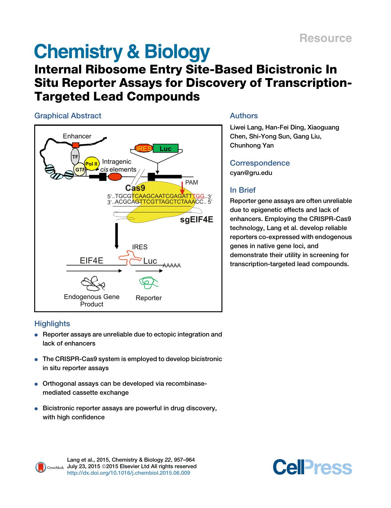 Internal Ribosome Entry Site-Based Bicistronic In Situ Reporter Assays for Discovery of Transcription-Targeted Lead Compounds by Liwei Lang & Han-Fei Ding & Xiaoguang Chen & Shi-Yong Sun & Gang Liu & Chunhong Yan