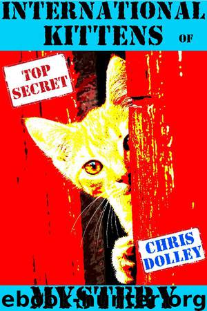 International Kittens of Mystery by Chris Dolley