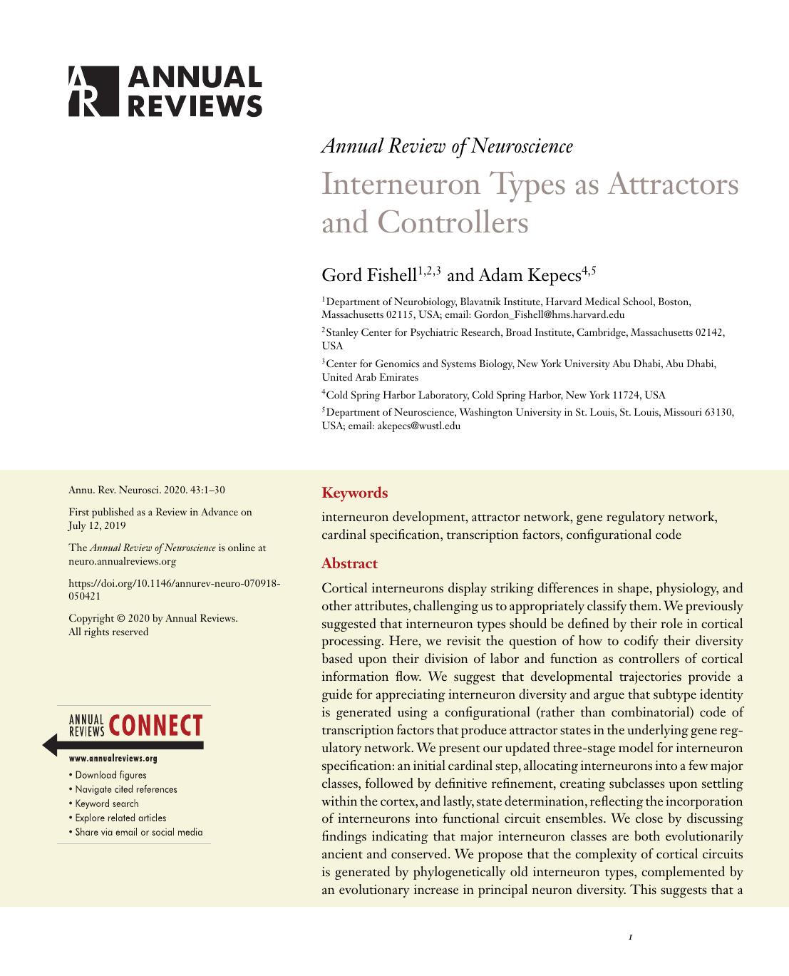 Interneuron Types as Attractors and Controllers by Gord Fishell and Adam Kepecs