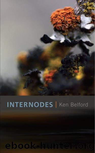Internodes by Ken Belford
