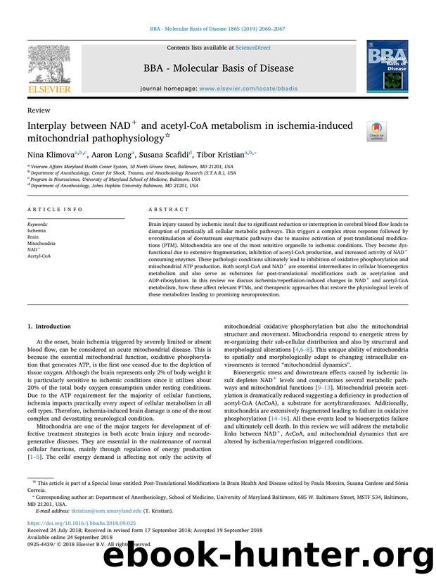 Interplay between NAD+ and acetylâCoA metabolism in ischemia-induced mitochondrial pathophysiology by Nina Klimova & Aaron Long & Susana Scafidi & Tibor Kristian