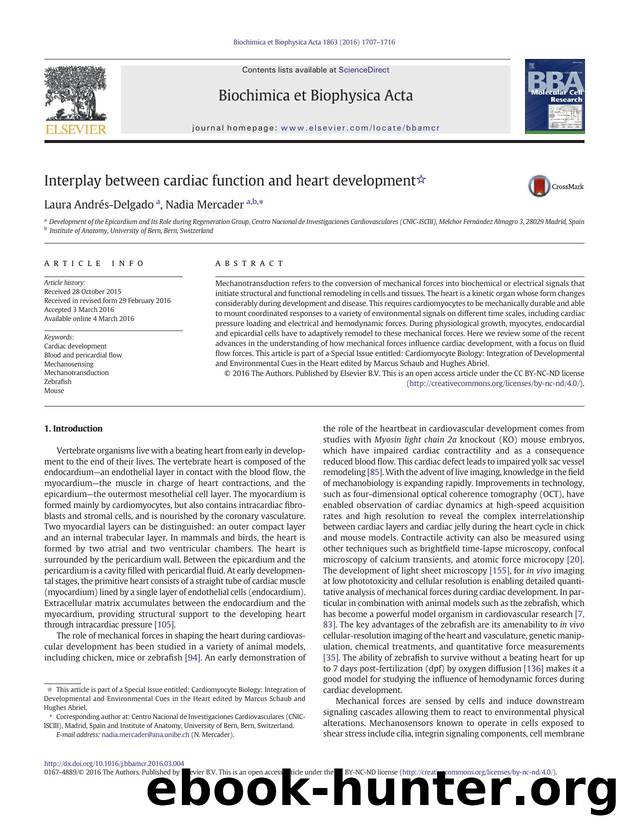 Interplay between cardiac function and heart development by Laura Andrés-Delgado & Nadia Mercader