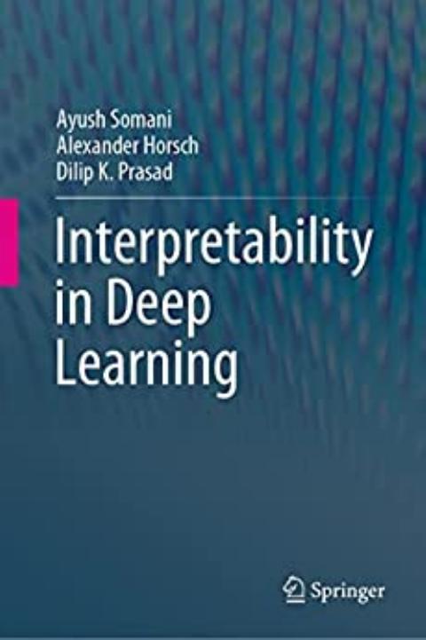 Interpretability in Deep Learning by Ayush Somani; Dilip K. Prasad; Alexander Horsch