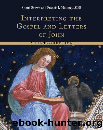 Interpreting the Gospel and Letters of John by Brown Sherri;Moloney Francis J.;