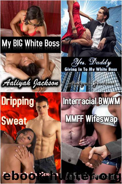 Interracial Erotica Bundle: Four Stories in One! by African American Interracial Bwwm Bundles