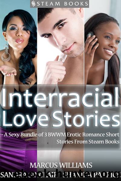 Interracial Love Stories--A Sexy Bundle of 3 BWWM Erotic Romance Short Stories From Steam Books by Sandra Sinclair