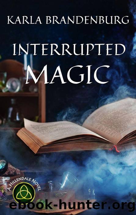 Interrupted Magic by Karla Brandenburg