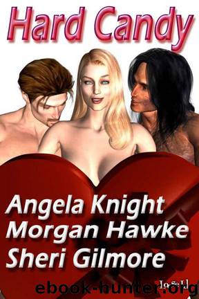 Interstellar Service and Discipline 02 Fortune's Star by Morgan Hawke