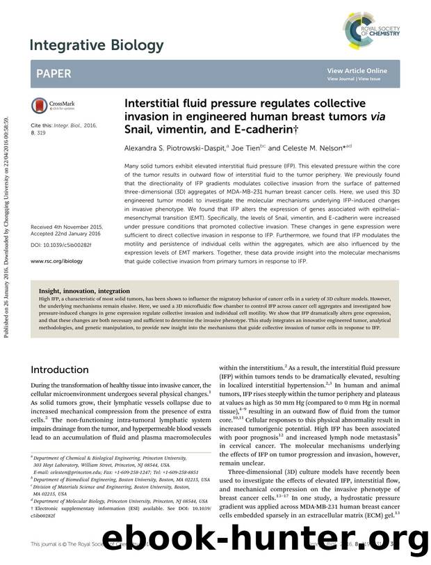Interstitial fluid pressure regulates collective invasion in engineered human breast tumors via Snail, vimentin, and E-cadherin by Alexandra S. Piotrowski-Daspit & Joe Tien & Celeste M. Nelson