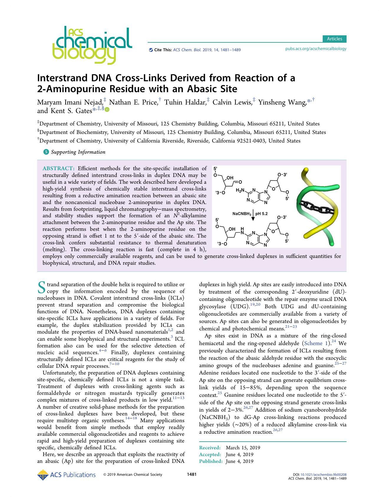 Interstrand DNA Cross-Links Derived from Reaction of a 2-Aminopurine Residue with an Abasic Site by Maryam Imani Nejad Nathan E. Price Tuhin Haldar Calvin Lewis Yinsheng Wang and Kent S. Gates