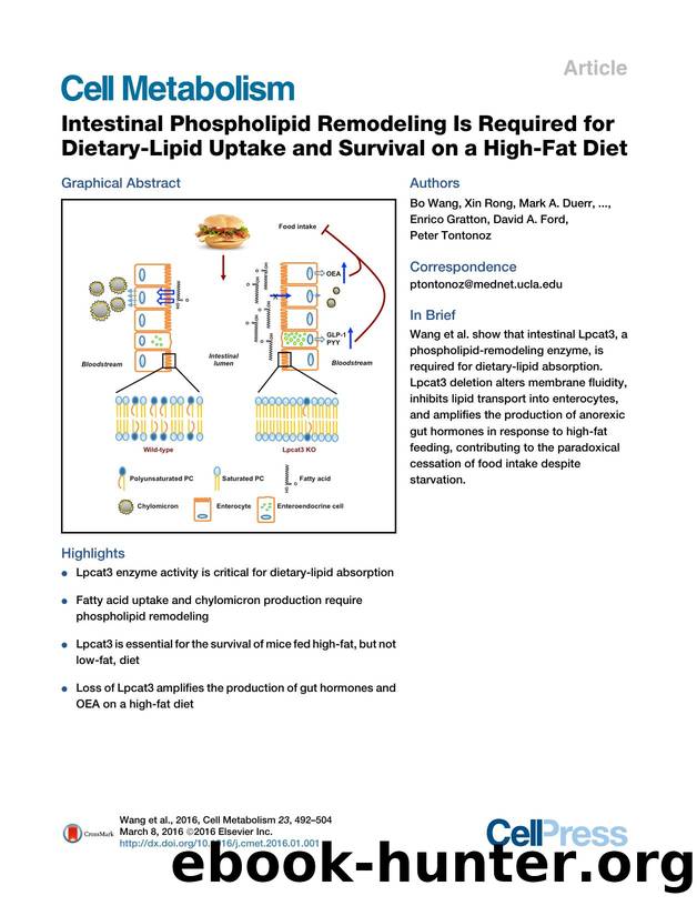 Intestinal Phospholipid Remodeling Is Required for Dietary-Lipid Uptake and Survival on a High-Fat Diet by unknow