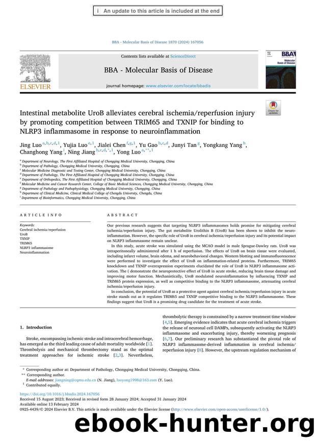 Intestinal metabolite UroB alleviates cerebral ischemiareperfusion injury by promoting competition between TRIM65 and TXNIP for binding to NLRP3 inflammasome in response to neuroinflammation by unknow