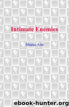 Intimate Enemies by Shana Abé
