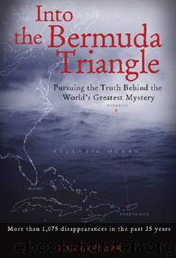 Into Bermuda Triangle by Gian J. Quasar