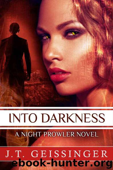 Into Darkness (A Night Prowler Novel) by J.T. Geissinger