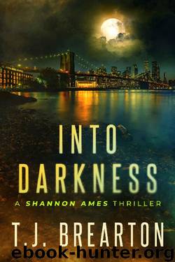 Into Darkness by T J Brearton