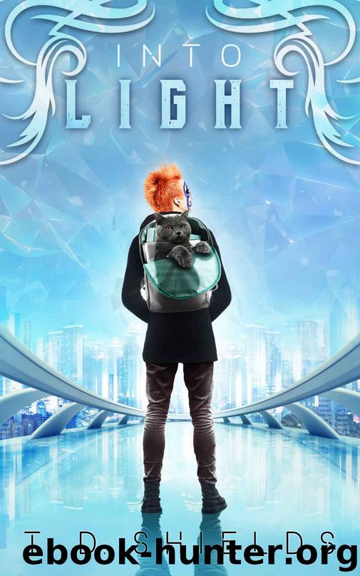 Into Light by T. D. Shields