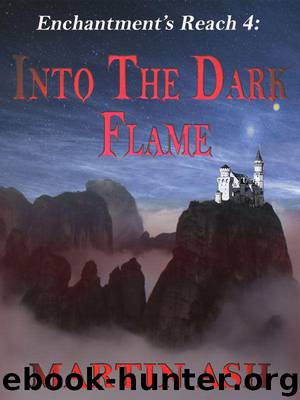 Into The Dark Flame (Book 4) by Martin Ash