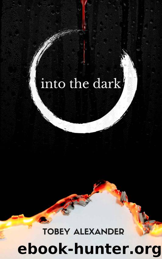 Into The Dark by Tobey Alexander