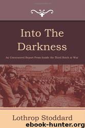 Into The Darkness : Nazi Germany Today by Theodore Lothrop Stoddard