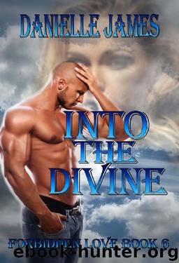 Into The Divine by Danielle James