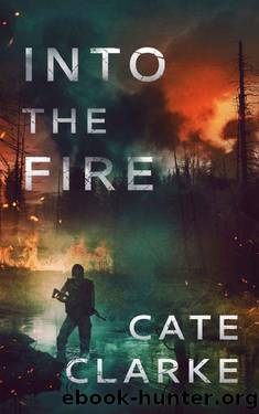 Into The Fire (A Diana Weick Thriller Book 2) by Cate Clarke