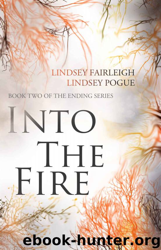 Into The Fire (The Ending Series) by Fairleigh Lindsey & Pogue Lindsey
