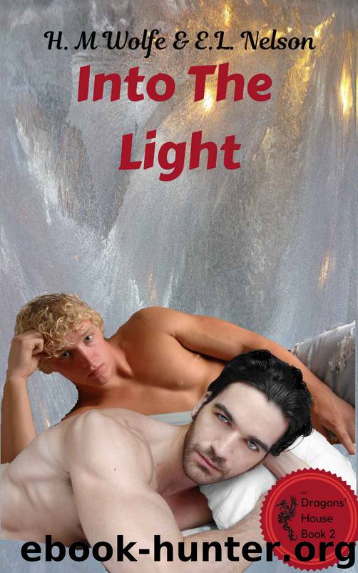 Into The Light by Wolfe H.M. & Nelson E.L