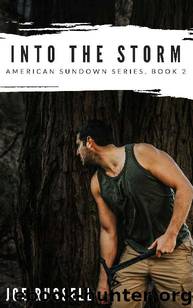 Into The Storm by Joe Russell