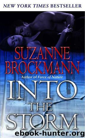 Into The Storm by Suzanne Brockmann