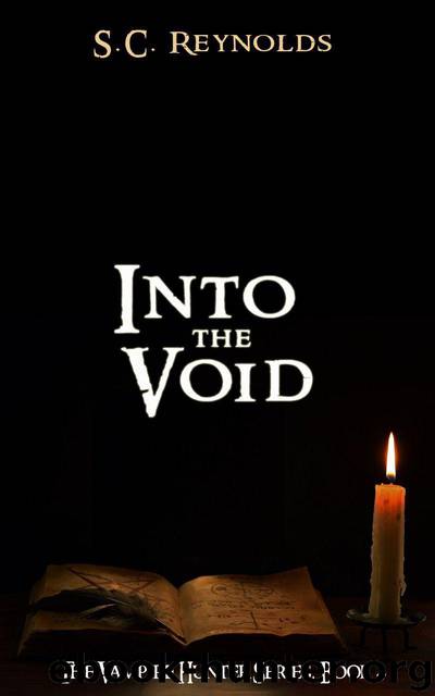 Into The Void (Vampire Hunter Book 4) by Reynolds S.C