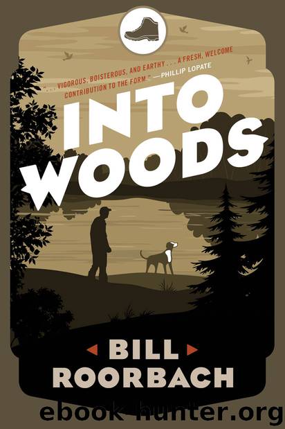 Into Woods by Bill Roorbach