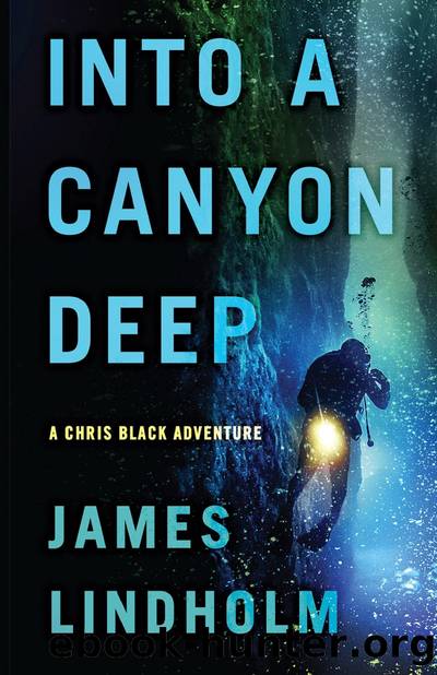 Into a Canyon Deep by James Lindholm