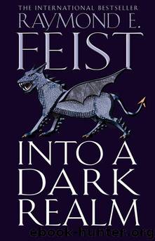 Into a Dark Realm by Feist Raymond E