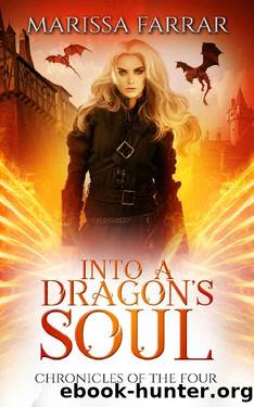 Into a Dragon's Soul_A Reverse Harem Fantasy by Marissa Farrar