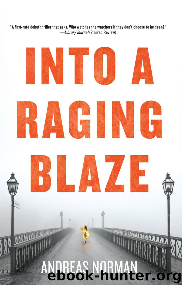 Into a Raging Blaze by Andreas Norman & Ian Giles